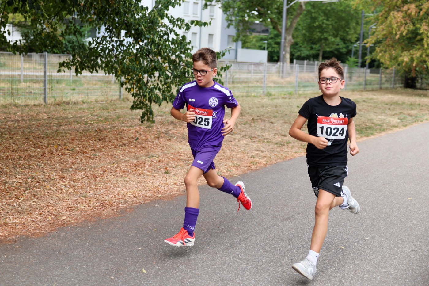 Oberwaldgazellen bei der Vorbereitung auf den Baden-Marathon 2026